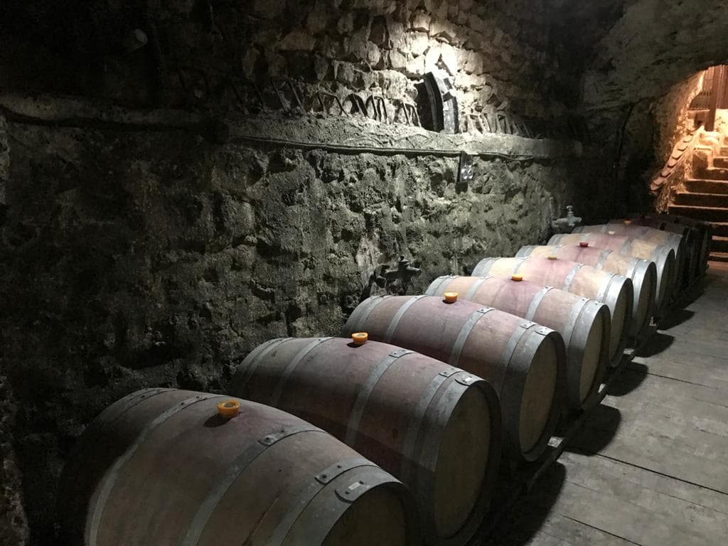 Bodegas-Familia-Navascués-provinum