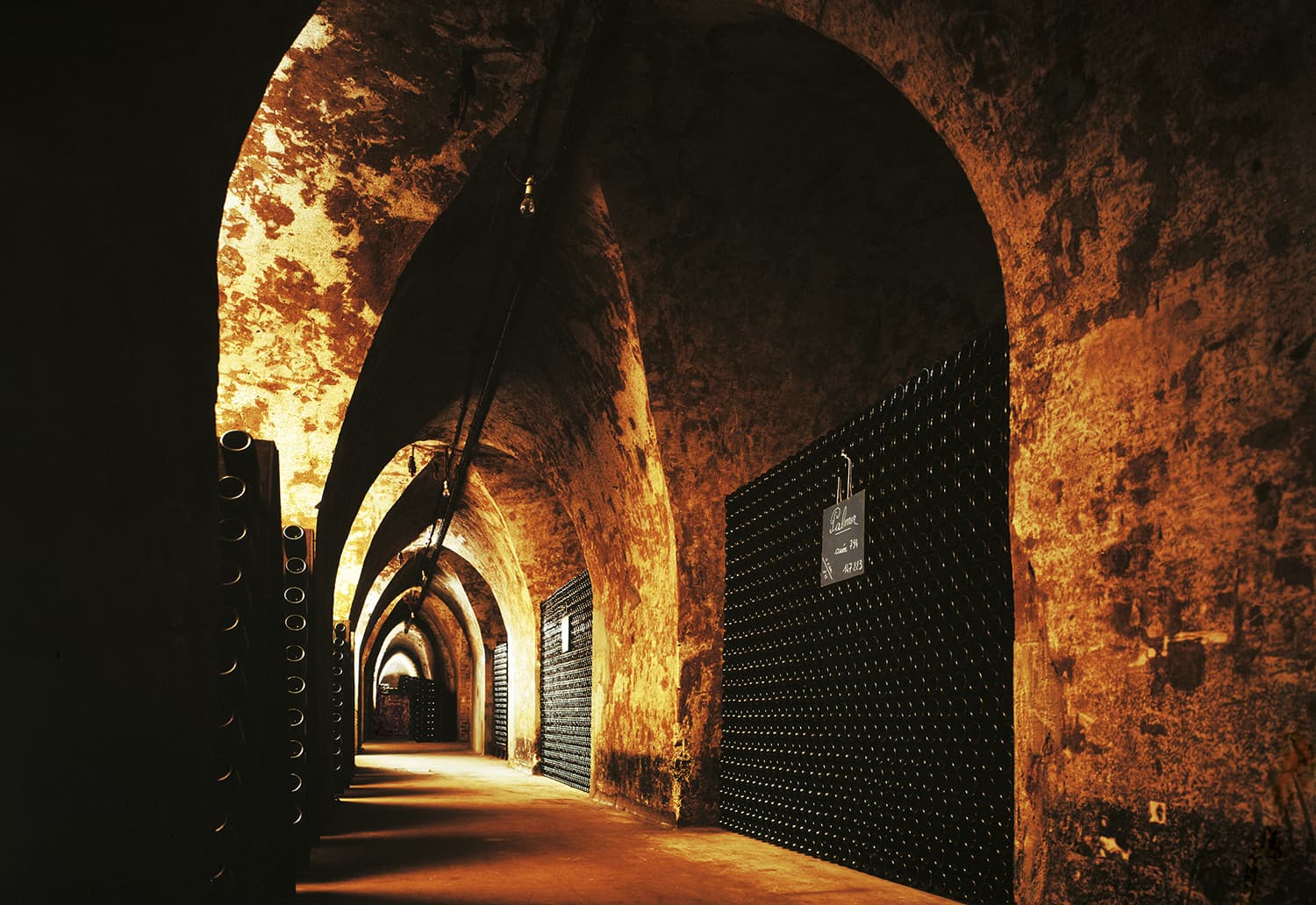 Champagne-palmer-cellar-provinum