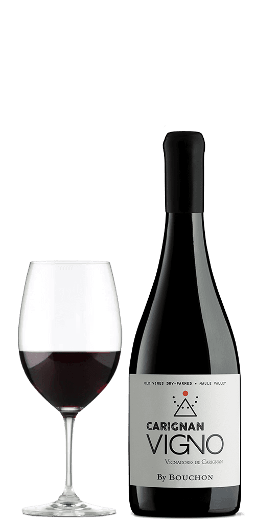Bouchon_Vigno_Carignan_provinum